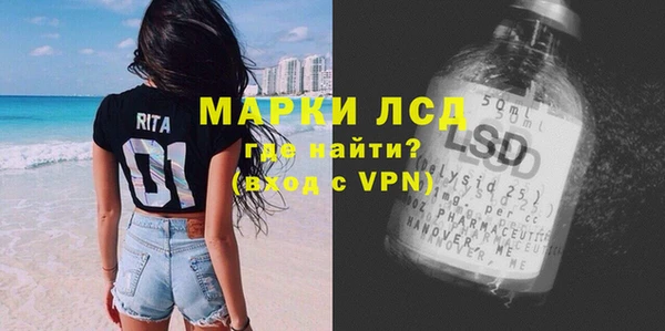 прущие грибы Армянск