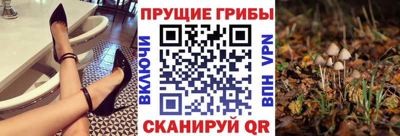 Псилоцибиновые грибы мухоморы  Ставрополь 