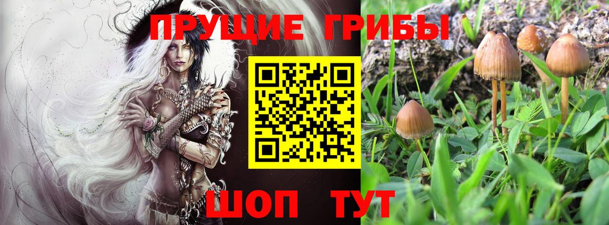 Ставрополь  Галлюциногенные грибы прущие грибы  Псилоцибиновые грибы Psilocybe  Вход с VPN 
