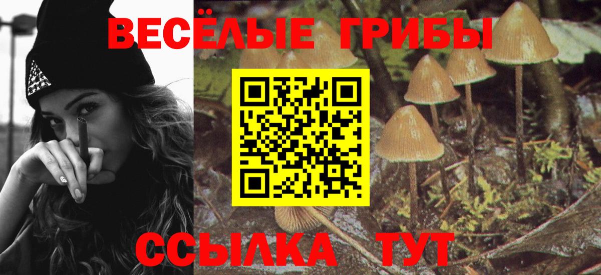 Псилоцибиновые грибы ЛСД Ставрополь